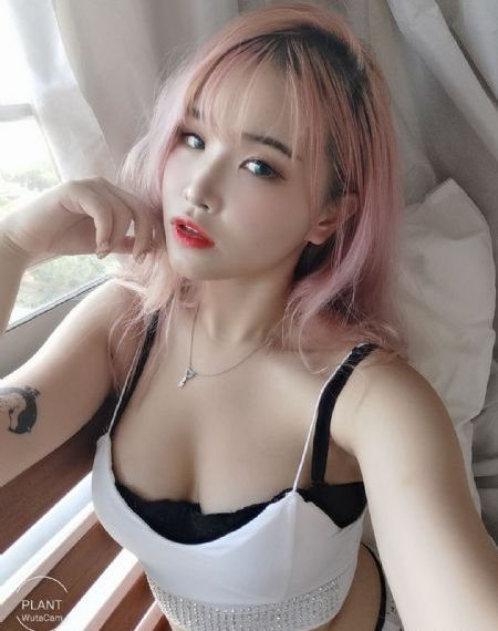 灿烂的人生