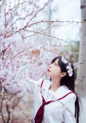 特别通行证